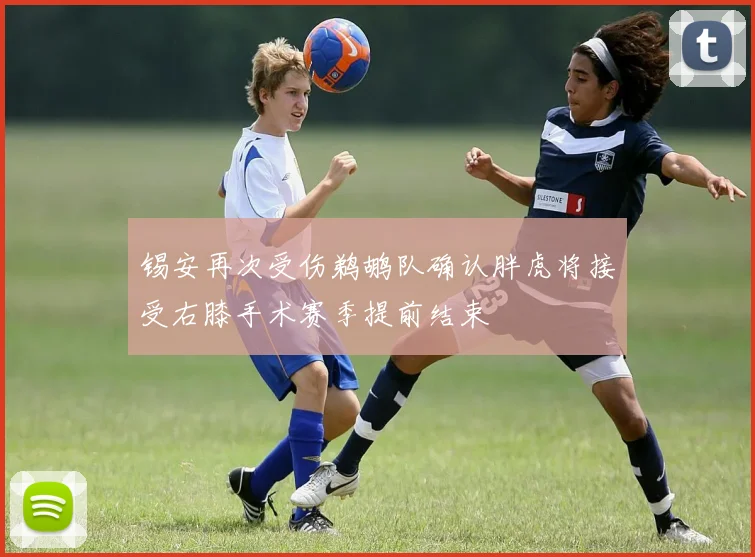 锡安再次受伤鹈鹕队确认胖虎将接受右膝手术赛季提前结束