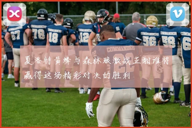 夏洛特黄蜂与森林狼激战正酣谁将赢得这场精彩对决的胜利